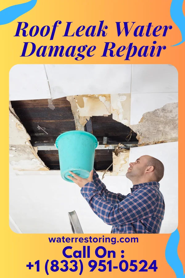 Roof Leak Water Damage Repair in Century, FL